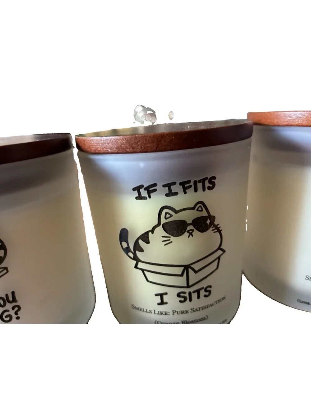 Clever Creation “ If I fits I sit” soy candle.